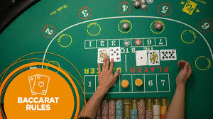 How Do High Rollers Play Baccarat Successfully?