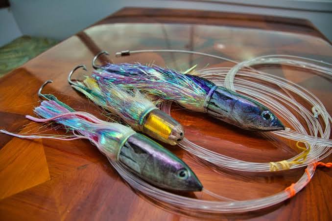 Best Offshore Trolling Lures for Beginners: A Complete Buyer’s Guide