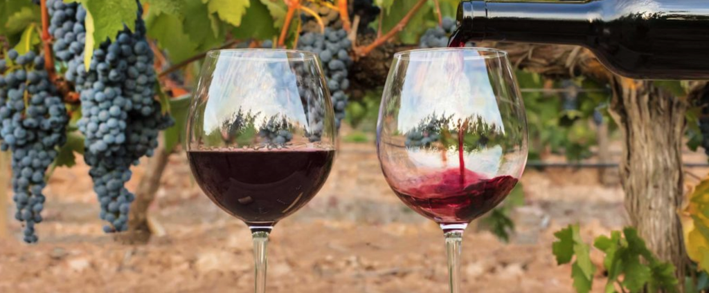 Book Winery Tour Niagara-on-the-Lake: A Guide to Planning a Memorable Wine Country Visit
